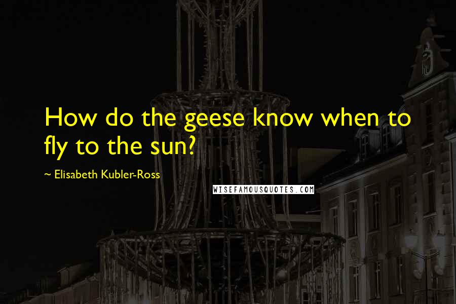 Elisabeth Kubler-Ross Quotes: How do the geese know when to fly to the sun?