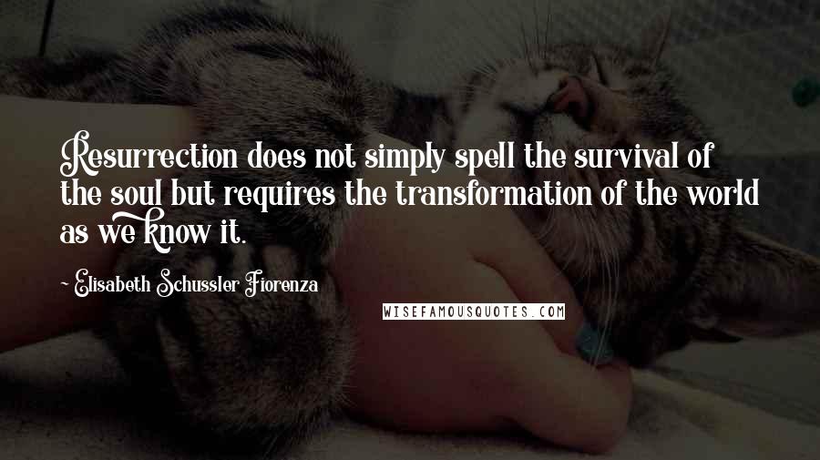 Elisabeth Schussler Fiorenza Quotes: Resurrection does not simply spell the survival of the soul but requires the transformation of the world as we know it.