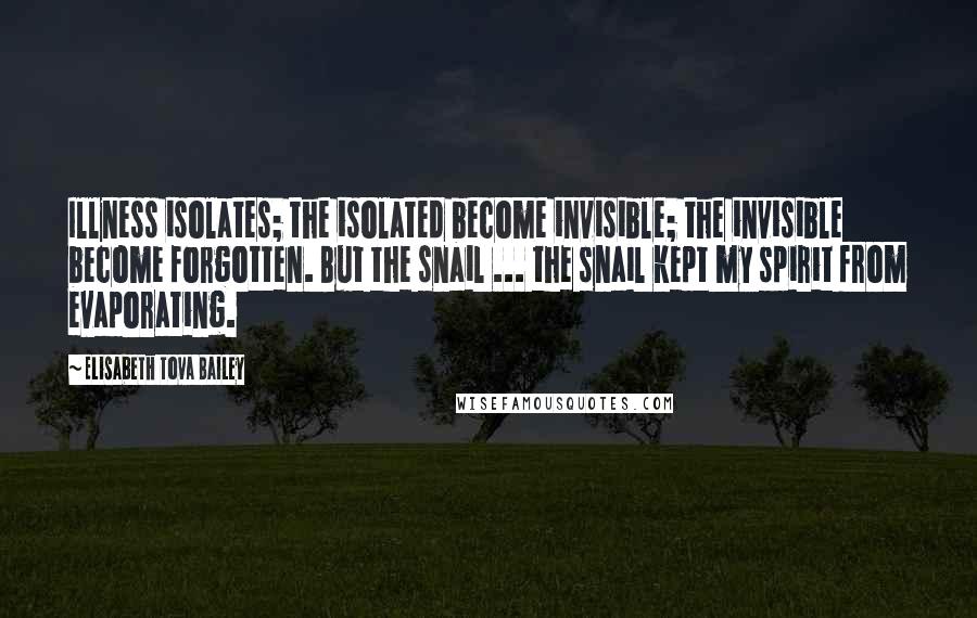 Elisabeth Tova Bailey Quotes: Illness isolates; the isolated become invisible; the invisible become forgotten. But the snail ... the snail kept my spirit from evaporating.