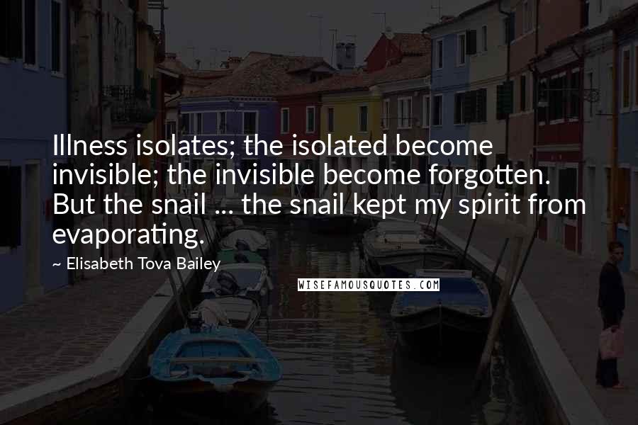 Elisabeth Tova Bailey Quotes: Illness isolates; the isolated become invisible; the invisible become forgotten. But the snail ... the snail kept my spirit from evaporating.