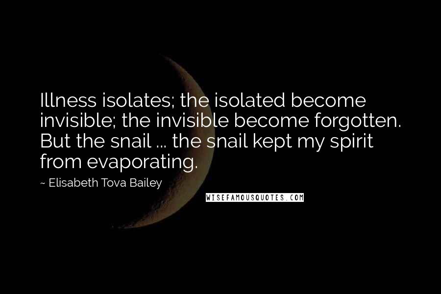 Elisabeth Tova Bailey Quotes: Illness isolates; the isolated become invisible; the invisible become forgotten. But the snail ... the snail kept my spirit from evaporating.