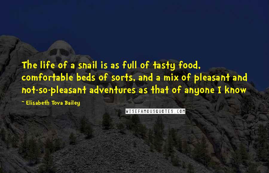 Elisabeth Tova Bailey Quotes: The life of a snail is as full of tasty food, comfortable beds of sorts, and a mix of pleasant and not-so-pleasant adventures as that of anyone I know