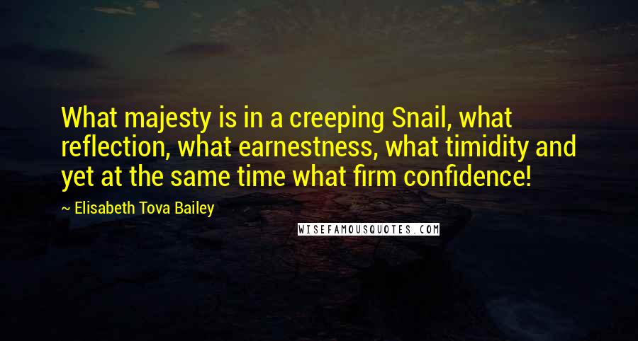 Elisabeth Tova Bailey Quotes: What majesty is in a creeping Snail, what reflection, what earnestness, what timidity and yet at the same time what firm confidence!