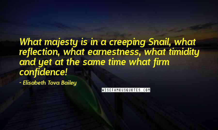 Elisabeth Tova Bailey Quotes: What majesty is in a creeping Snail, what reflection, what earnestness, what timidity and yet at the same time what firm confidence!