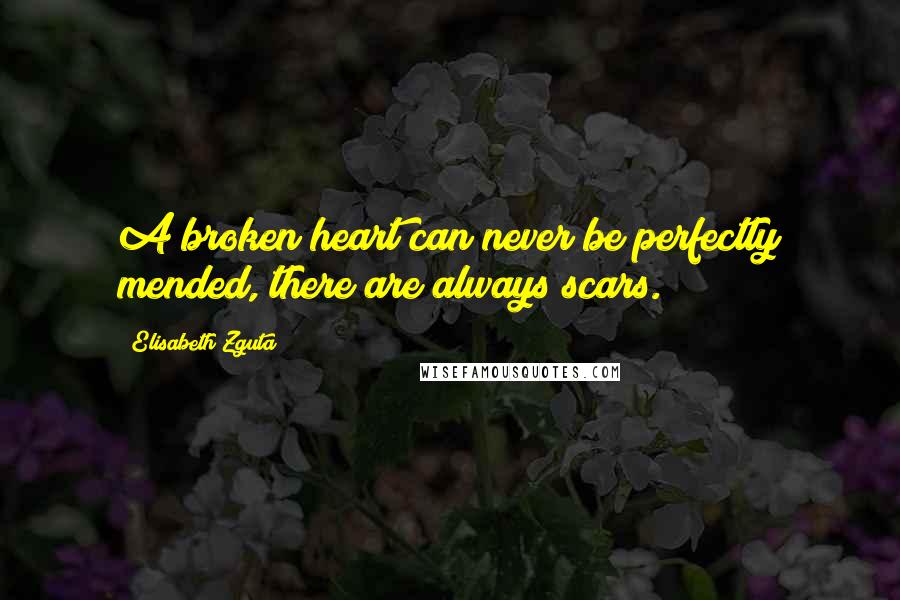 Elisabeth Zguta Quotes: A broken heart can never be perfectly mended, there are always scars.