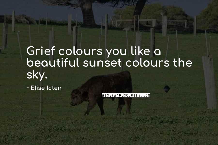 Elise Icten Quotes: Grief colours you like a beautiful sunset colours the sky.