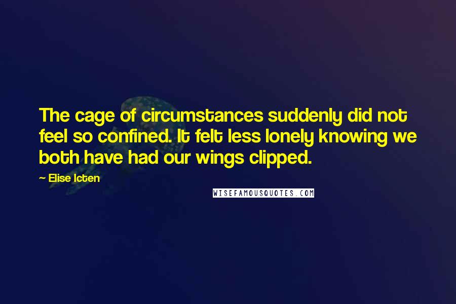 Elise Icten Quotes: The cage of circumstances suddenly did not feel so confined. It felt less lonely knowing we both have had our wings clipped.