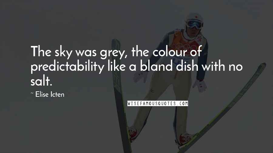 Elise Icten Quotes: The sky was grey, the colour of predictability like a bland dish with no salt.