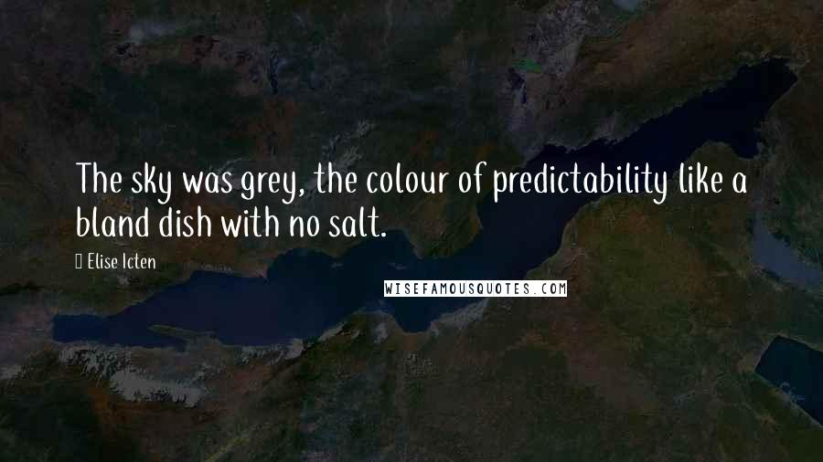 Elise Icten Quotes: The sky was grey, the colour of predictability like a bland dish with no salt.