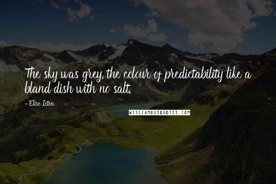 Elise Icten Quotes: The sky was grey, the colour of predictability like a bland dish with no salt.