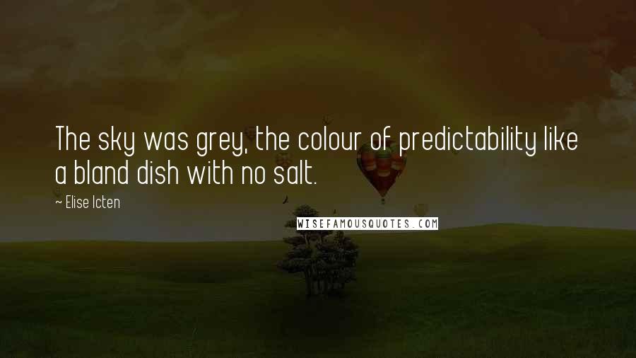 Elise Icten Quotes: The sky was grey, the colour of predictability like a bland dish with no salt.