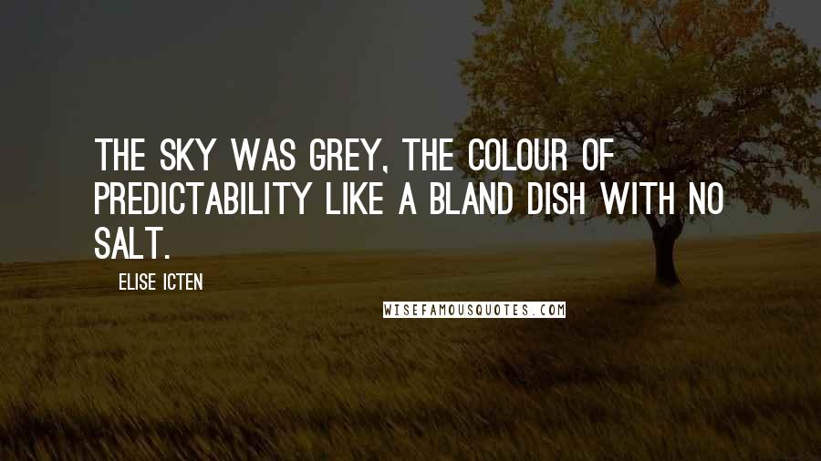 Elise Icten Quotes: The sky was grey, the colour of predictability like a bland dish with no salt.