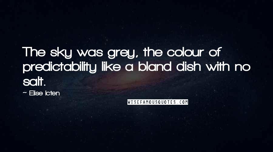 Elise Icten Quotes: The sky was grey, the colour of predictability like a bland dish with no salt.