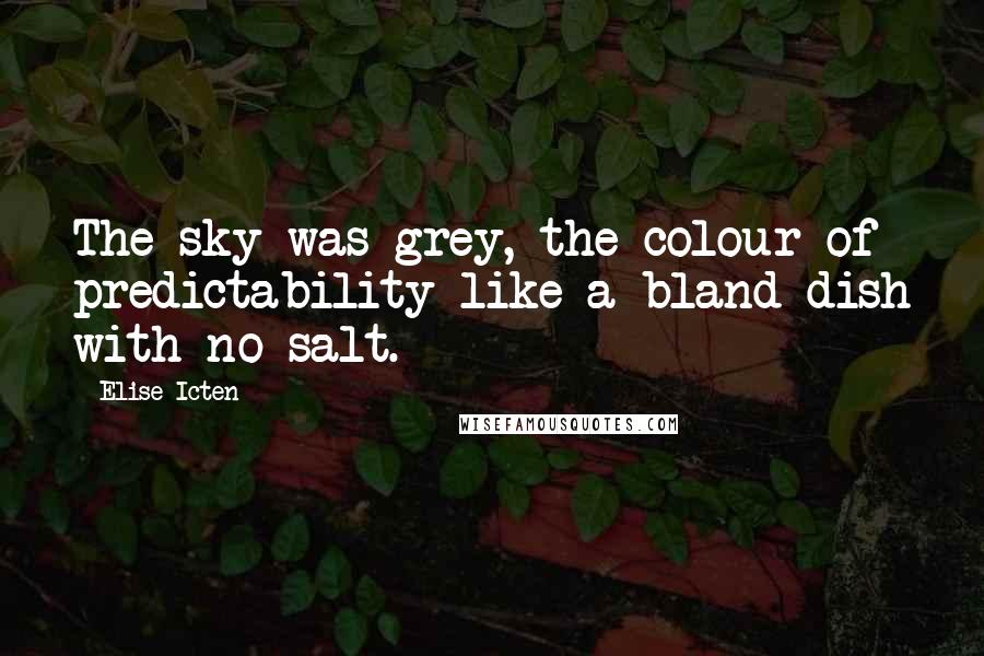 Elise Icten Quotes: The sky was grey, the colour of predictability like a bland dish with no salt.