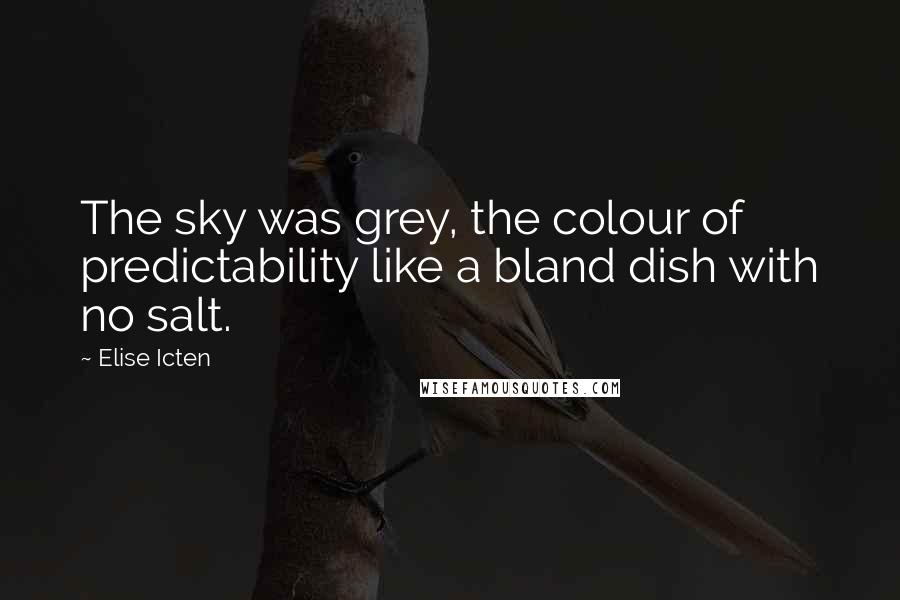 Elise Icten Quotes: The sky was grey, the colour of predictability like a bland dish with no salt.