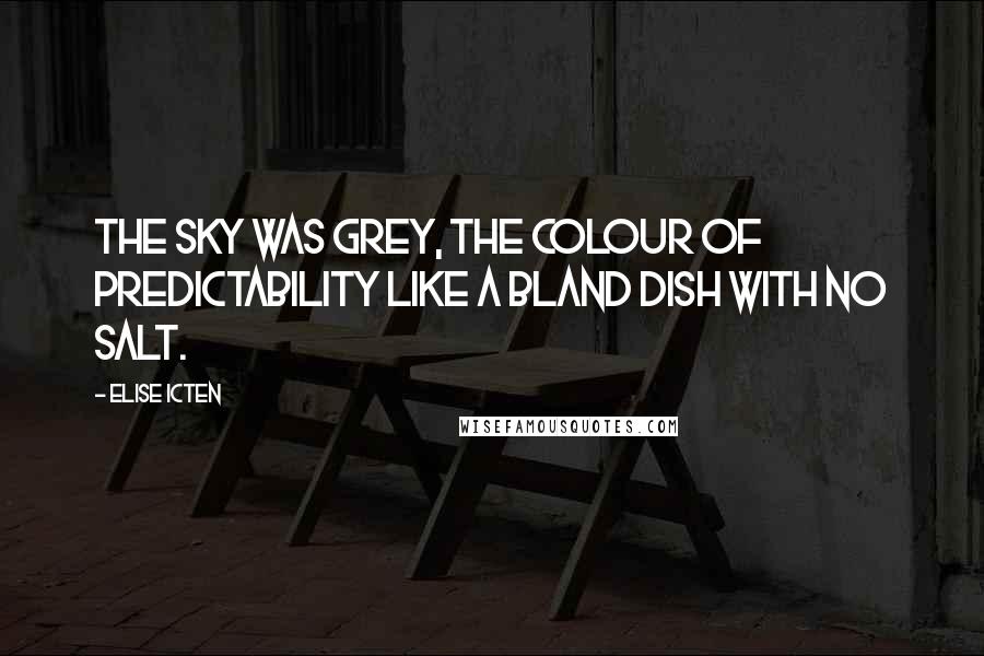 Elise Icten Quotes: The sky was grey, the colour of predictability like a bland dish with no salt.