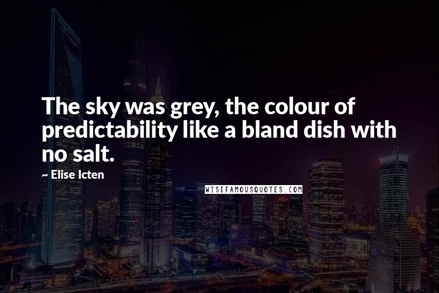 Elise Icten Quotes: The sky was grey, the colour of predictability like a bland dish with no salt.