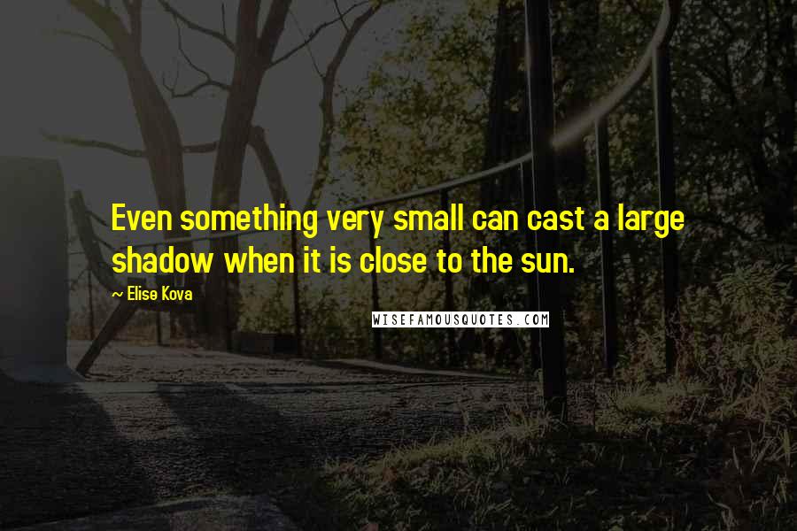 Elise Kova Quotes: Even something very small can cast a large shadow when it is close to the sun.