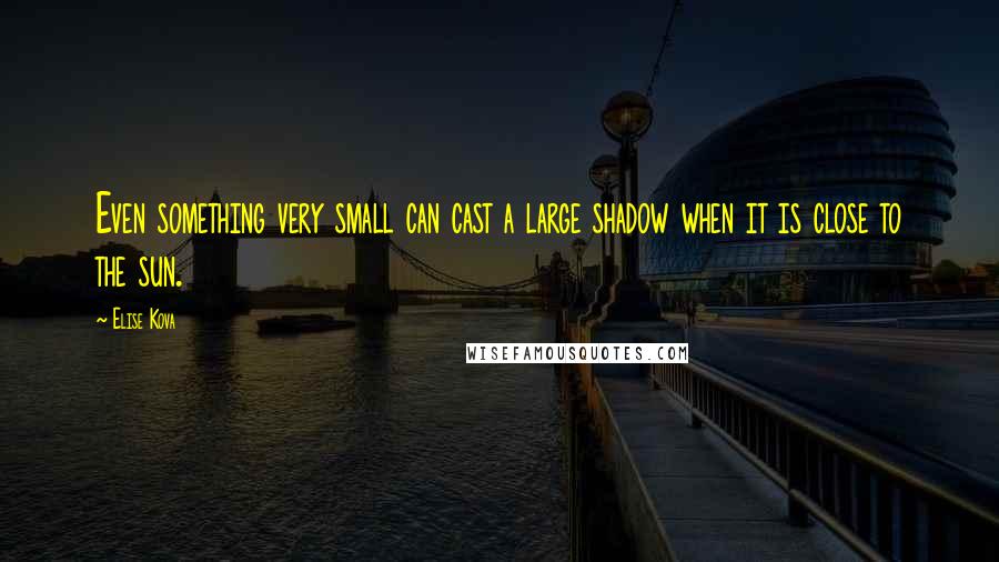 Elise Kova Quotes: Even something very small can cast a large shadow when it is close to the sun.