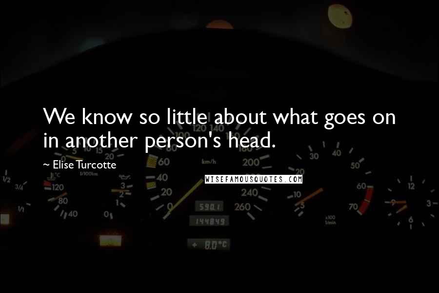 Elise Turcotte Quotes: We know so little about what goes on in another person's head.