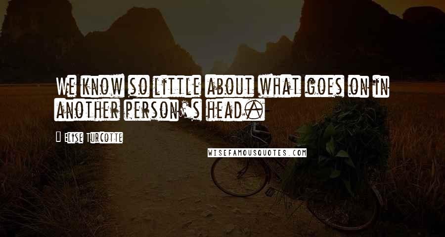 Elise Turcotte Quotes: We know so little about what goes on in another person's head.