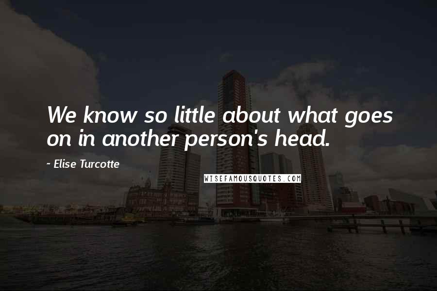 Elise Turcotte Quotes: We know so little about what goes on in another person's head.