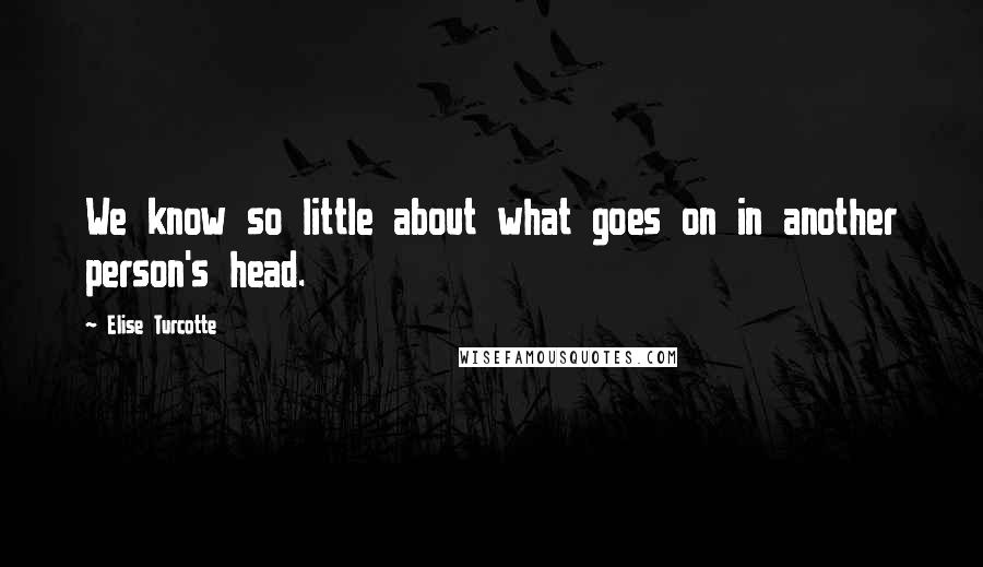 Elise Turcotte Quotes: We know so little about what goes on in another person's head.