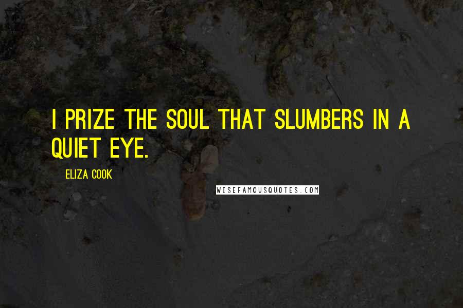 Eliza Cook Quotes: I prize the soul that slumbers in a quiet eye.