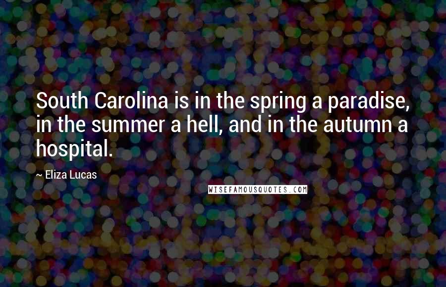 Eliza Lucas Quotes: South Carolina is in the spring a paradise, in the summer a hell, and in the autumn a hospital.