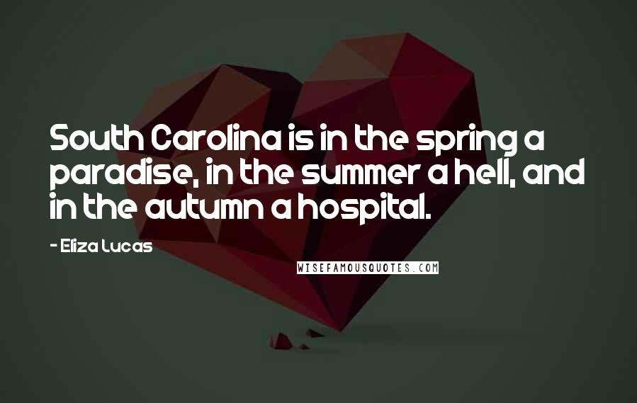 Eliza Lucas Quotes: South Carolina is in the spring a paradise, in the summer a hell, and in the autumn a hospital.