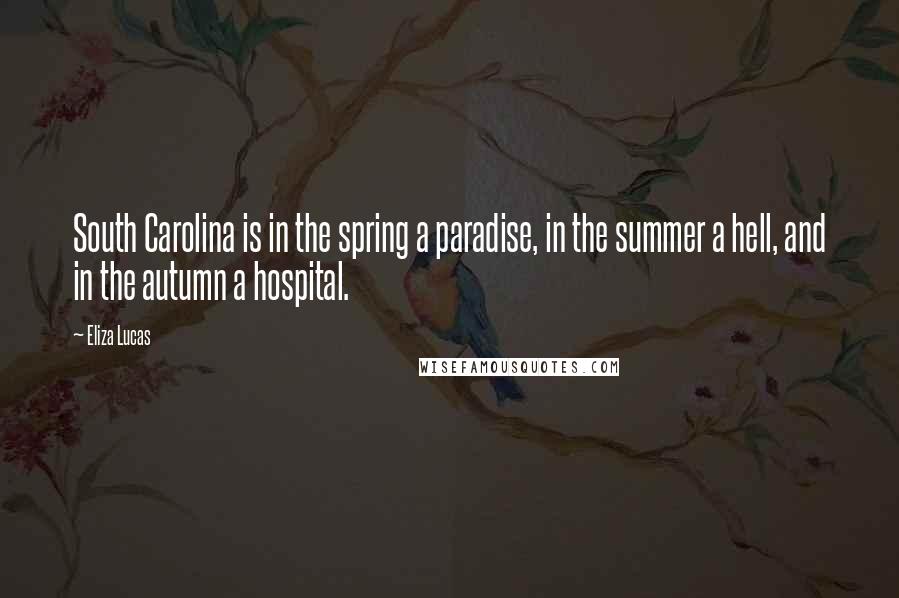 Eliza Lucas Quotes: South Carolina is in the spring a paradise, in the summer a hell, and in the autumn a hospital.