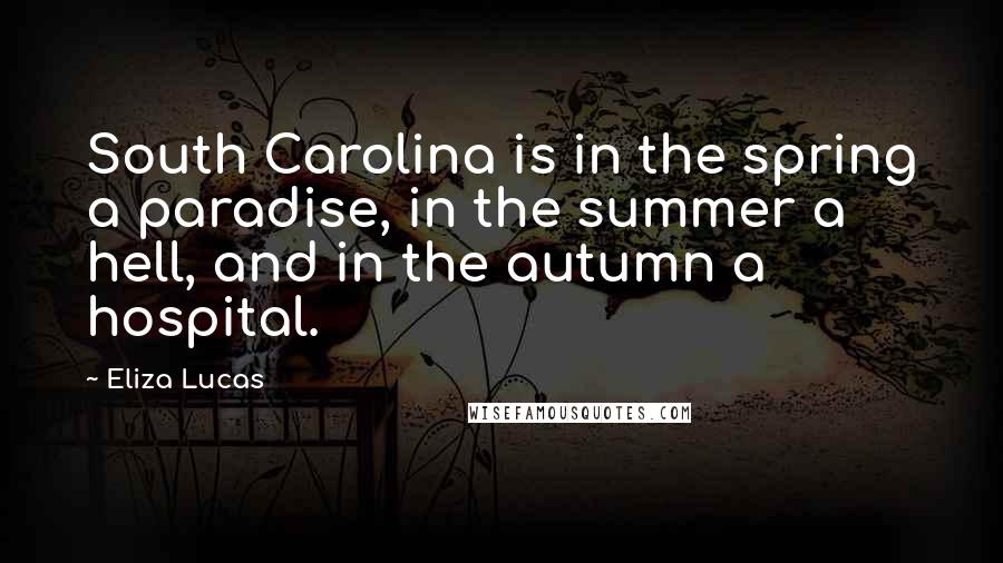 Eliza Lucas Quotes: South Carolina is in the spring a paradise, in the summer a hell, and in the autumn a hospital.
