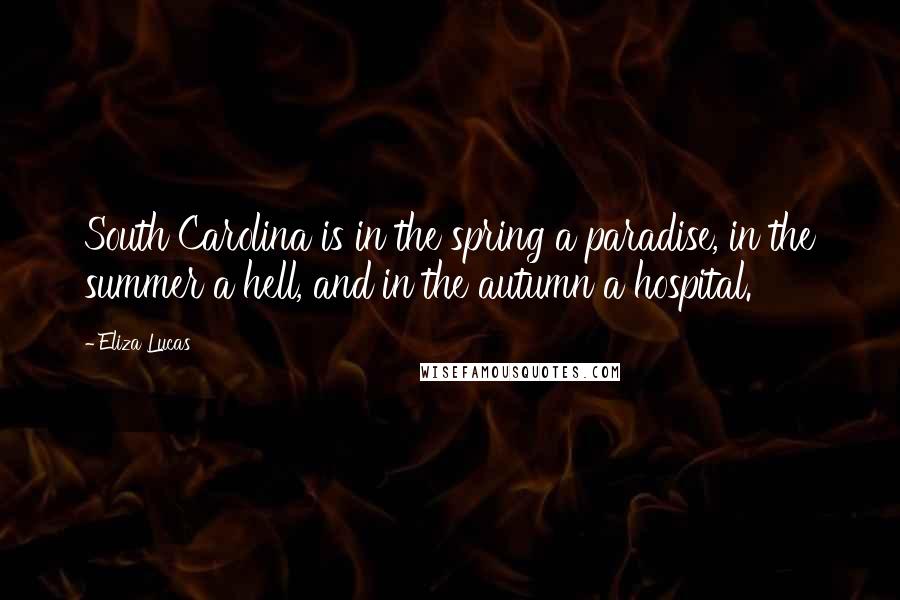 Eliza Lucas Quotes: South Carolina is in the spring a paradise, in the summer a hell, and in the autumn a hospital.