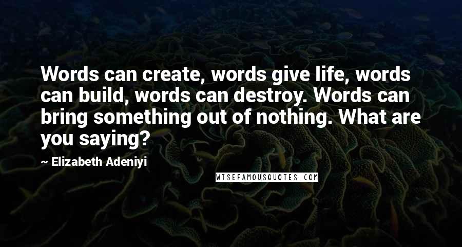 Elizabeth Adeniyi Quotes: Words can create, words give life, words can build, words can destroy. Words can bring something out of nothing. What are you saying?