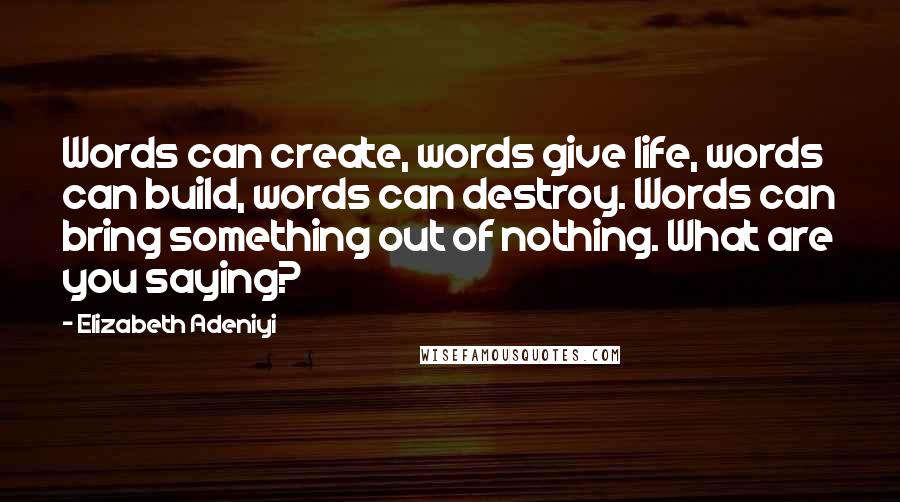 Elizabeth Adeniyi Quotes: Words can create, words give life, words can build, words can destroy. Words can bring something out of nothing. What are you saying?