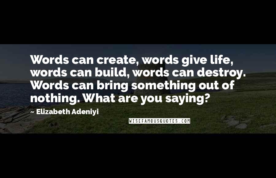 Elizabeth Adeniyi Quotes: Words can create, words give life, words can build, words can destroy. Words can bring something out of nothing. What are you saying?