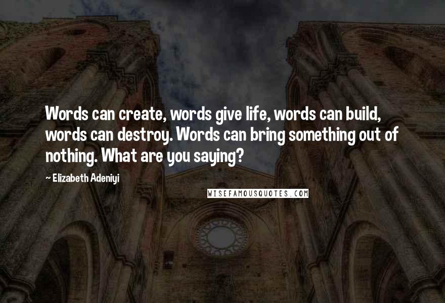 Elizabeth Adeniyi Quotes: Words can create, words give life, words can build, words can destroy. Words can bring something out of nothing. What are you saying?