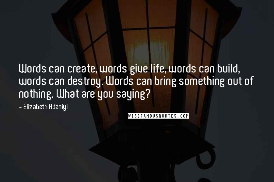 Elizabeth Adeniyi Quotes: Words can create, words give life, words can build, words can destroy. Words can bring something out of nothing. What are you saying?