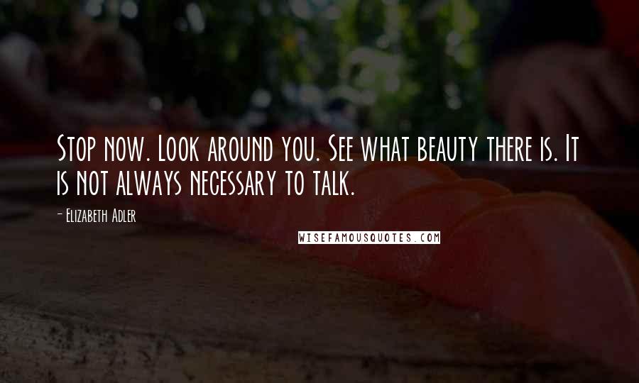 Elizabeth Adler Quotes: Stop now. Look around you. See what beauty there is. It is not always necessary to talk.