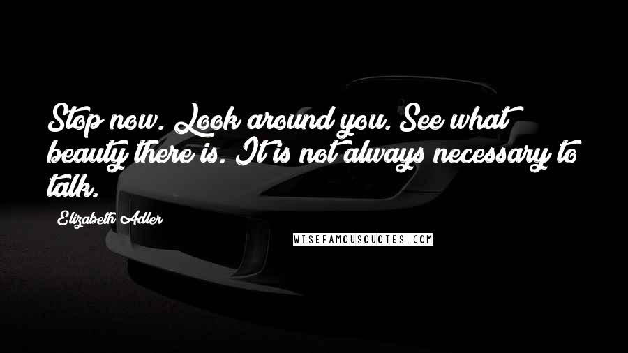 Elizabeth Adler Quotes: Stop now. Look around you. See what beauty there is. It is not always necessary to talk.