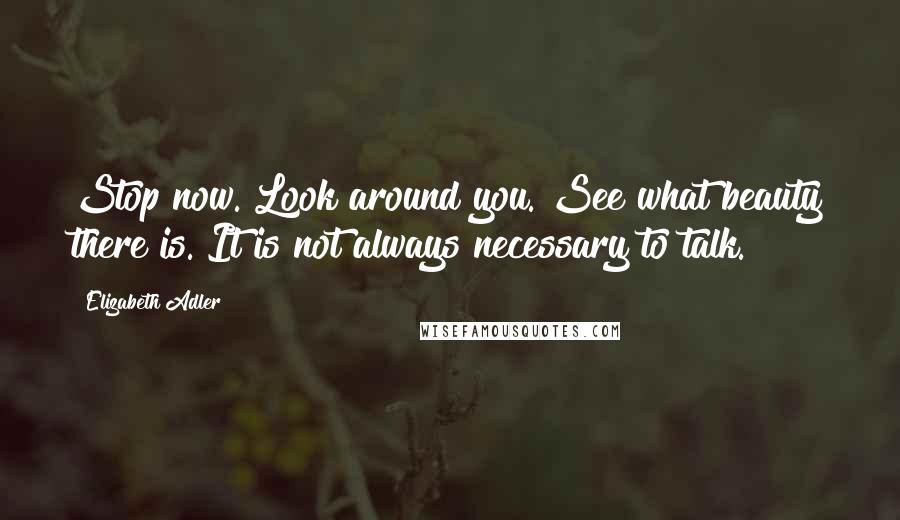 Elizabeth Adler Quotes: Stop now. Look around you. See what beauty there is. It is not always necessary to talk.