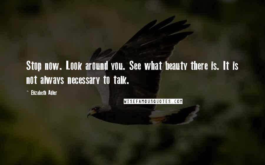 Elizabeth Adler Quotes: Stop now. Look around you. See what beauty there is. It is not always necessary to talk.