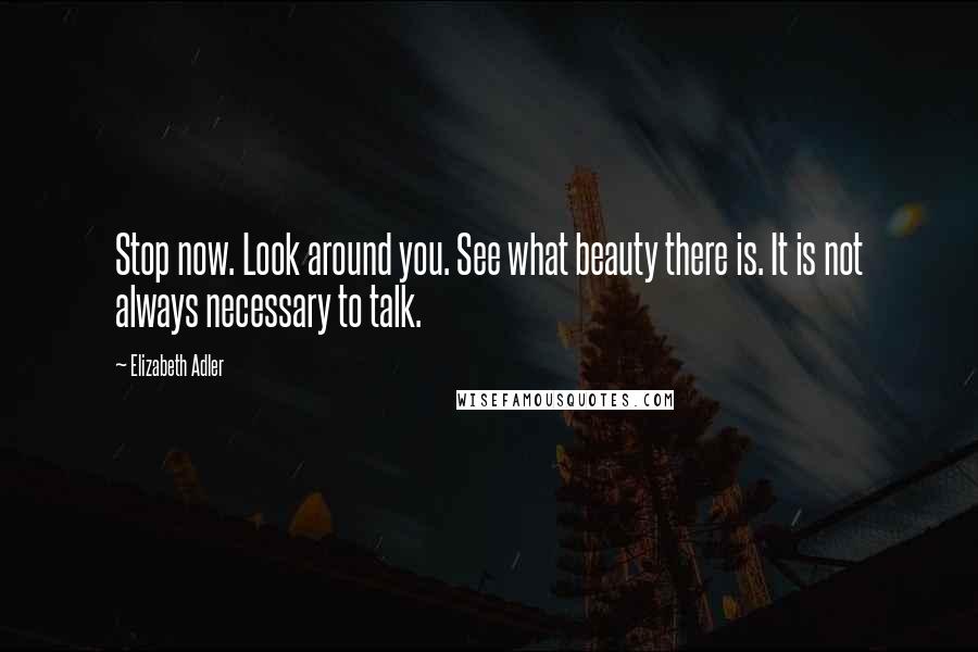 Elizabeth Adler Quotes: Stop now. Look around you. See what beauty there is. It is not always necessary to talk.