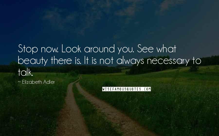 Elizabeth Adler Quotes: Stop now. Look around you. See what beauty there is. It is not always necessary to talk.