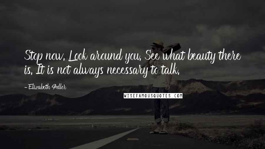 Elizabeth Adler Quotes: Stop now. Look around you. See what beauty there is. It is not always necessary to talk.