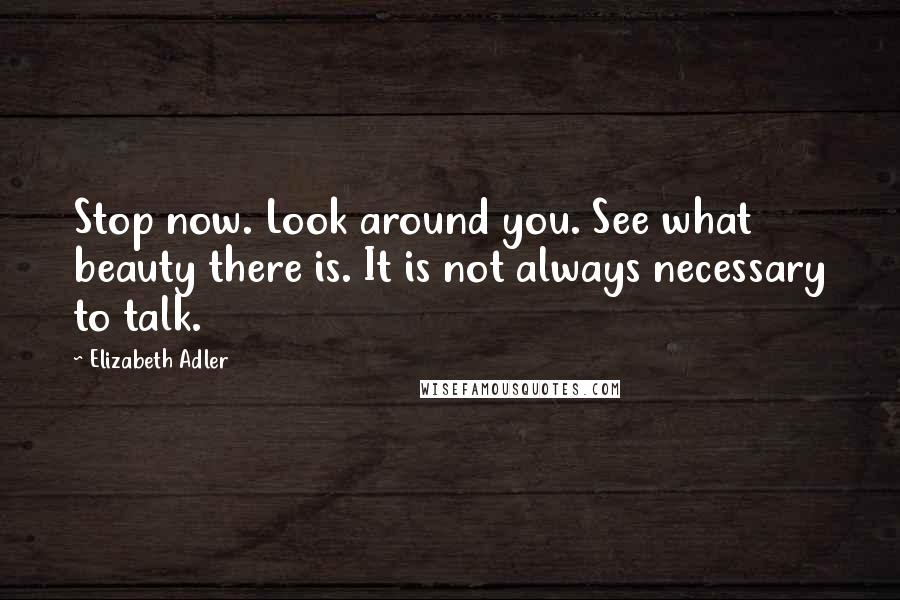 Elizabeth Adler Quotes: Stop now. Look around you. See what beauty there is. It is not always necessary to talk.