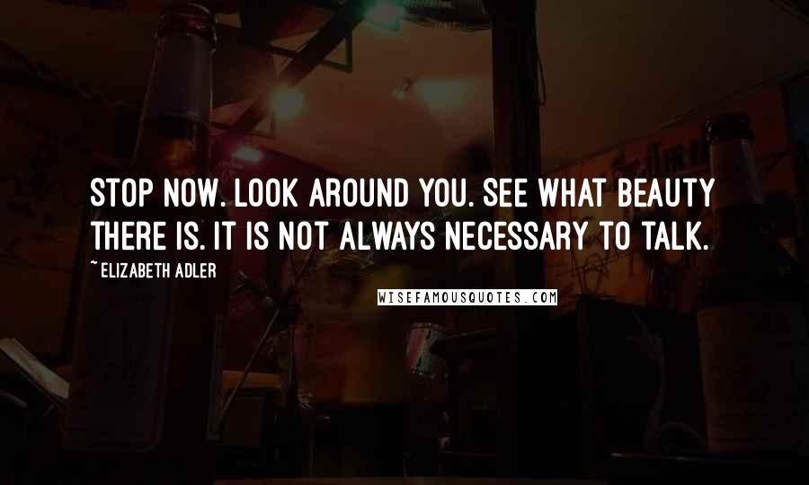 Elizabeth Adler Quotes: Stop now. Look around you. See what beauty there is. It is not always necessary to talk.