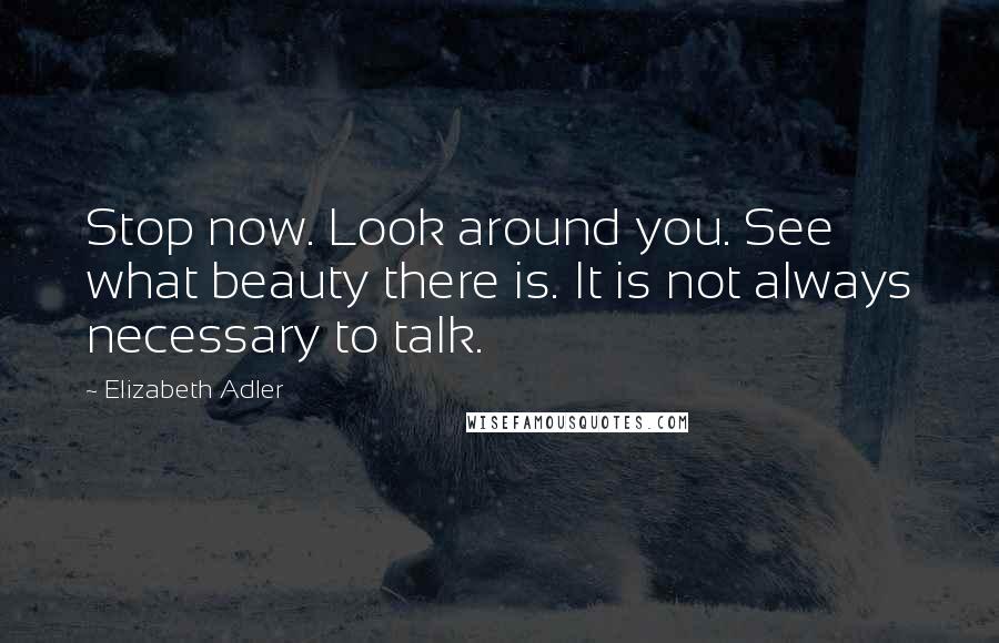 Elizabeth Adler Quotes: Stop now. Look around you. See what beauty there is. It is not always necessary to talk.