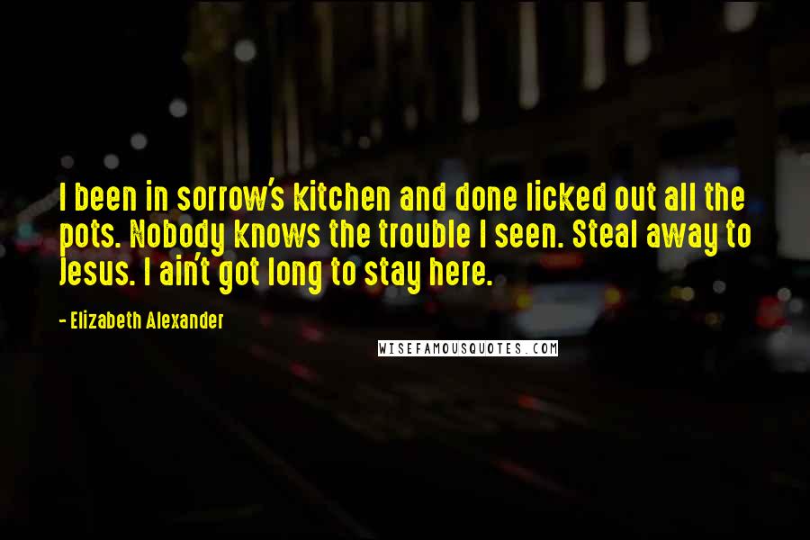 Elizabeth Alexander Quotes: I been in sorrow's kitchen and done licked out all the pots. Nobody knows the trouble I seen. Steal away to Jesus. I ain't got long to stay here.