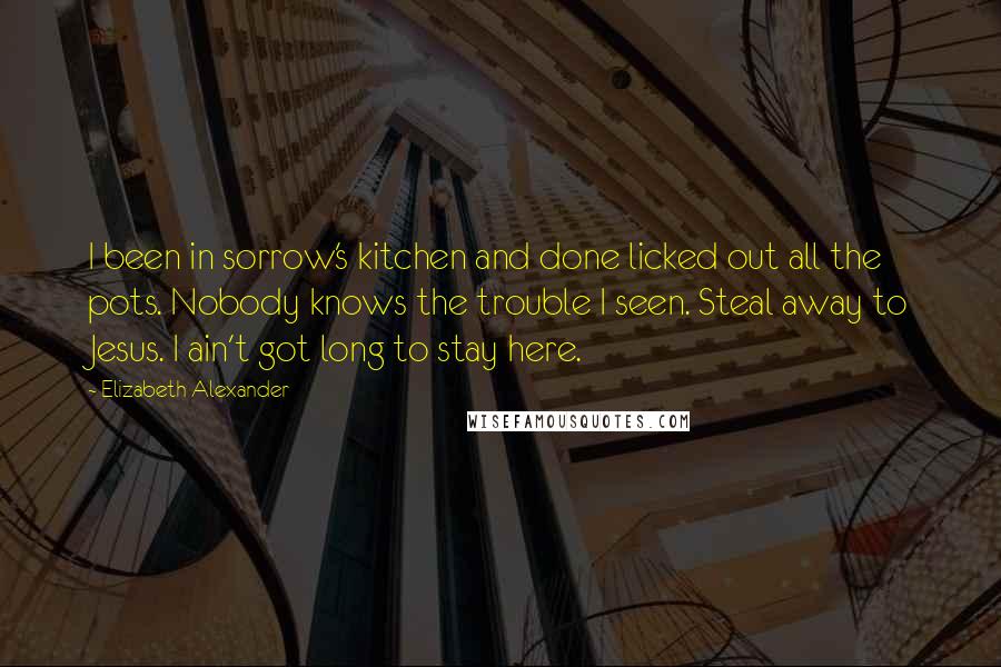 Elizabeth Alexander Quotes: I been in sorrow's kitchen and done licked out all the pots. Nobody knows the trouble I seen. Steal away to Jesus. I ain't got long to stay here.